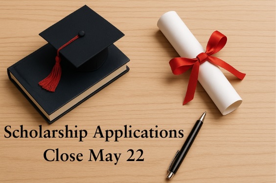 learn Arabic grammar online through scholarships